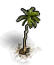 Palm Tree
